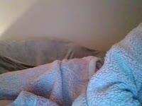 Daiseydreams
